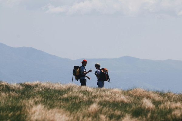 Voyage Gourmand en Train : Une Aventure Culinaire Mémorable à Travers les Saveurs à Bord