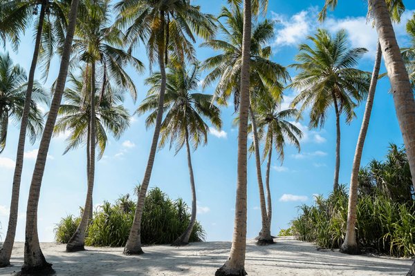 Activités Inoubliables pour Enfants dans les Époustouflantes Gorges du Verdon